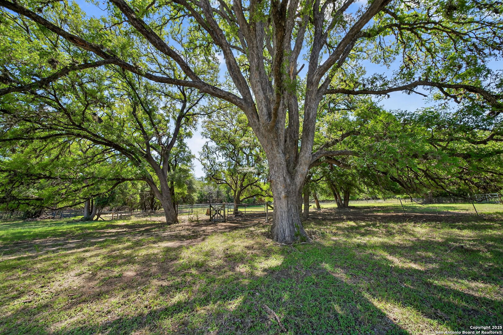 924 Wagon Creek