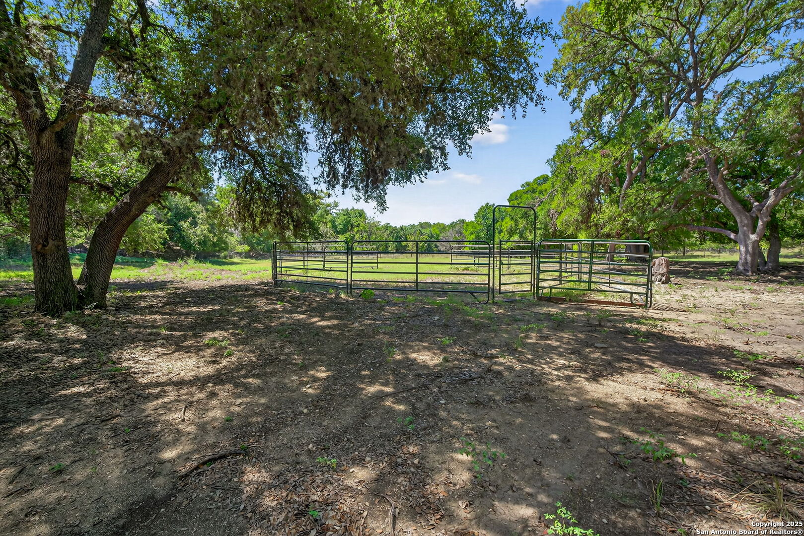 924 Wagon Creek
