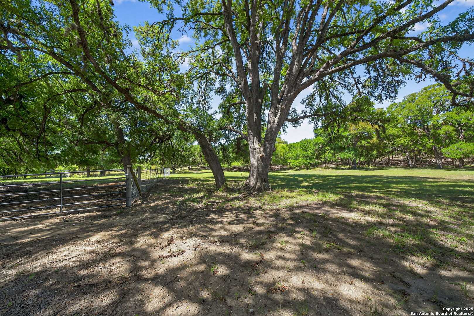 924 Wagon Creek