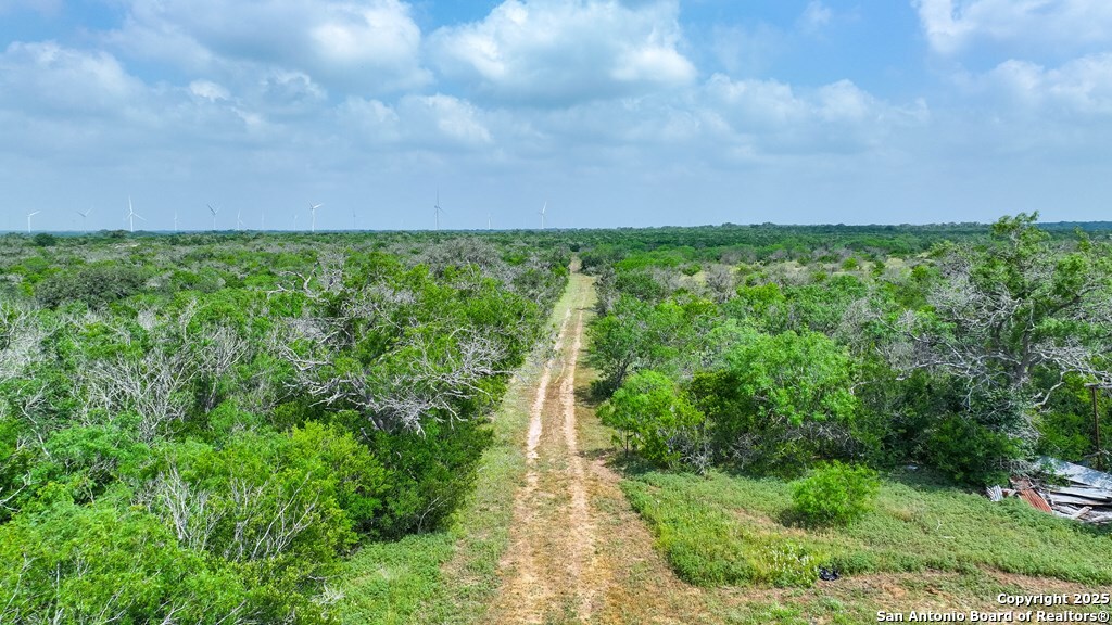 10801 County Road 116