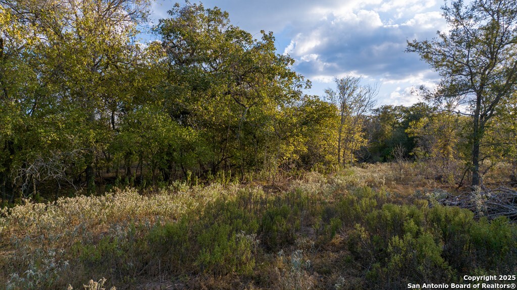000 County Road 386