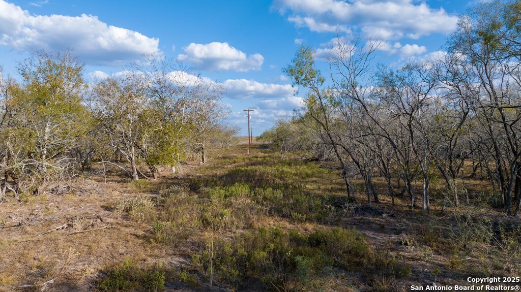 000 County Road 386