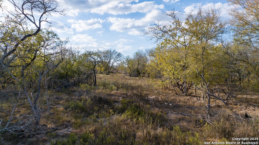 000 County Road 386
