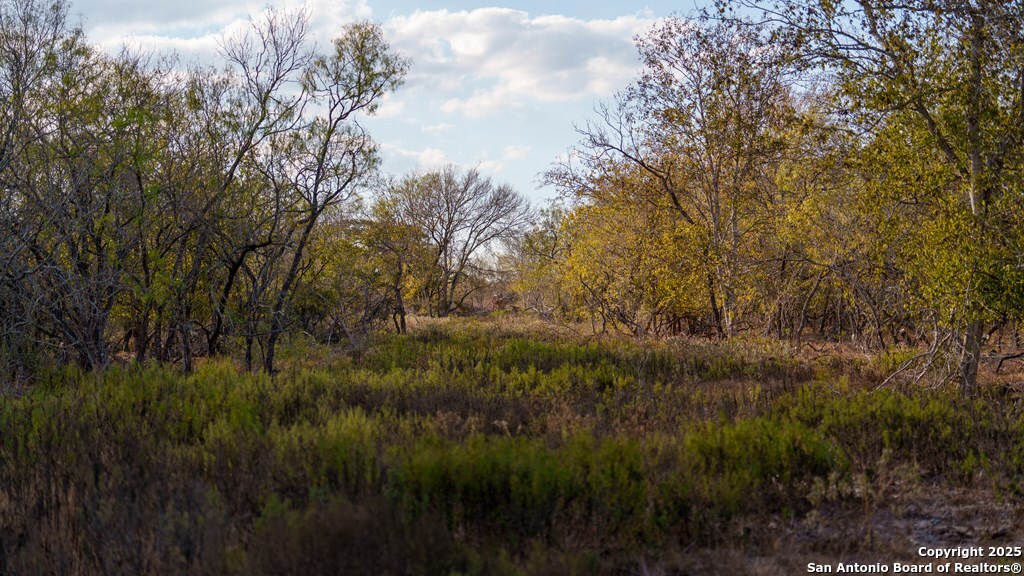 000 County Road 386