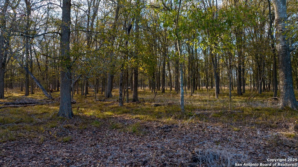 000 County Road 386