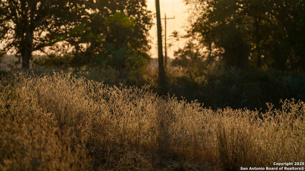 000 County Road 386