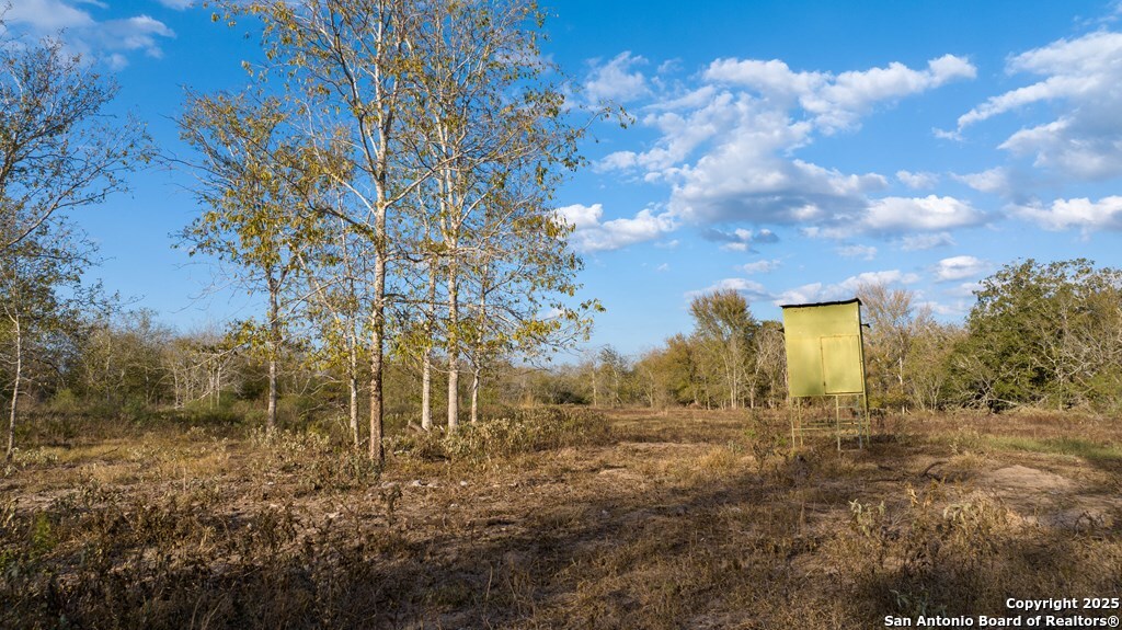 000 County Road 386