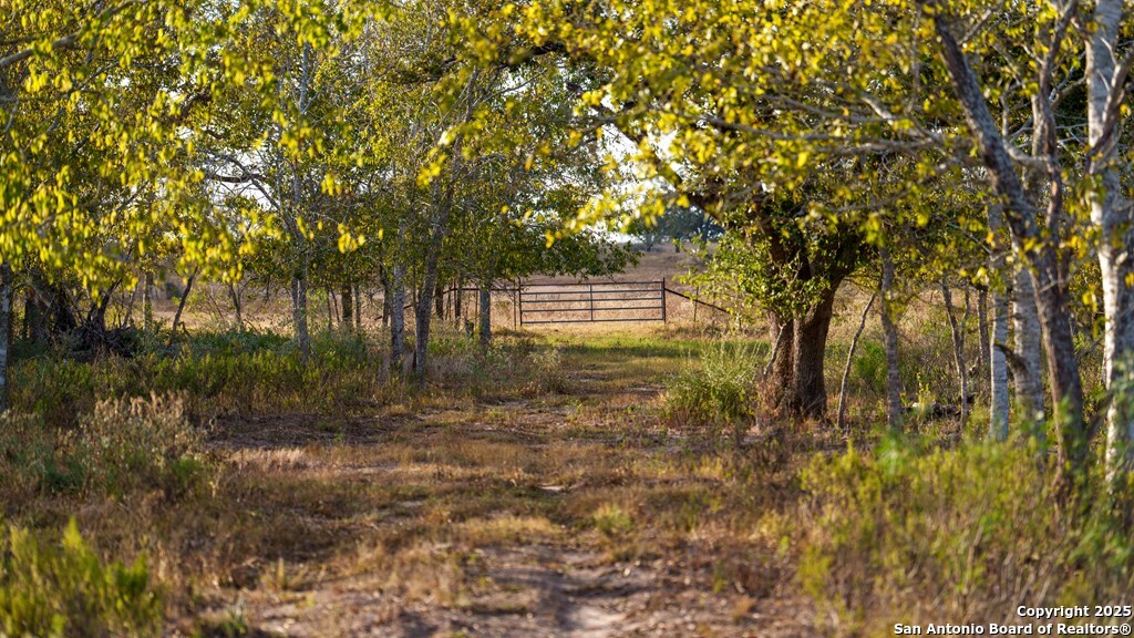 000 County Road 386
