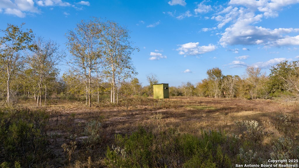 000 County Road 386
