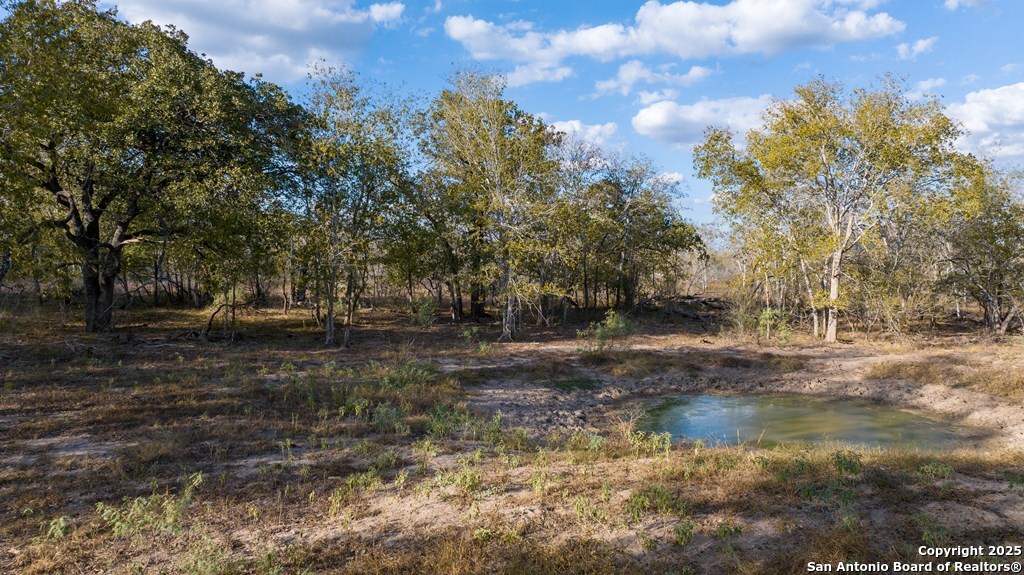 000 County Road 386