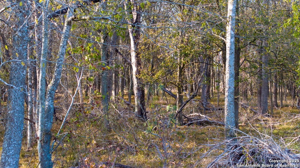 000 County Road 386