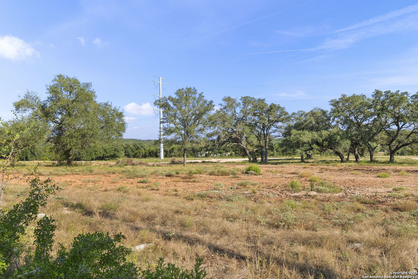 154 Lone Oak