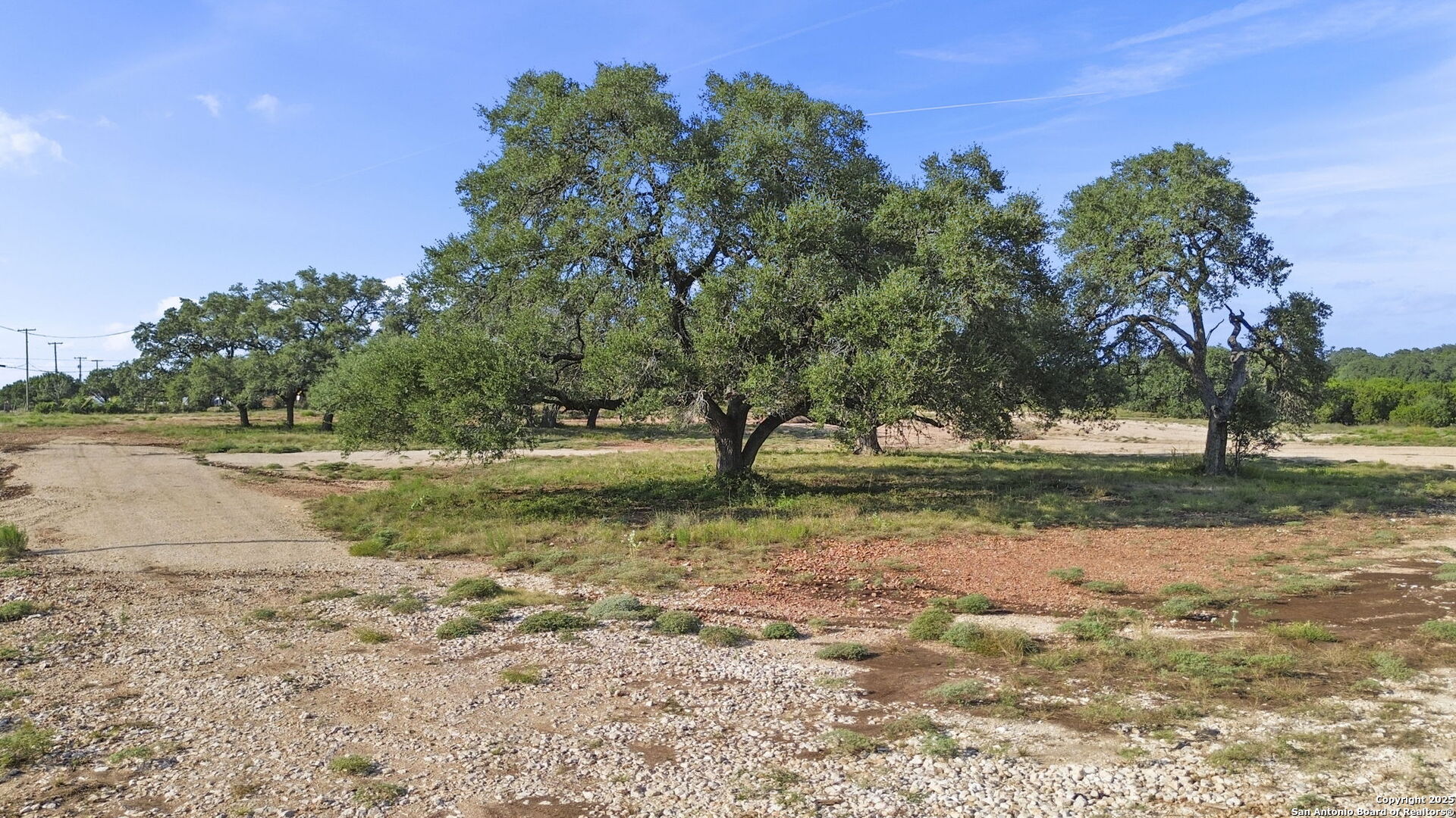 154 Lone Oak