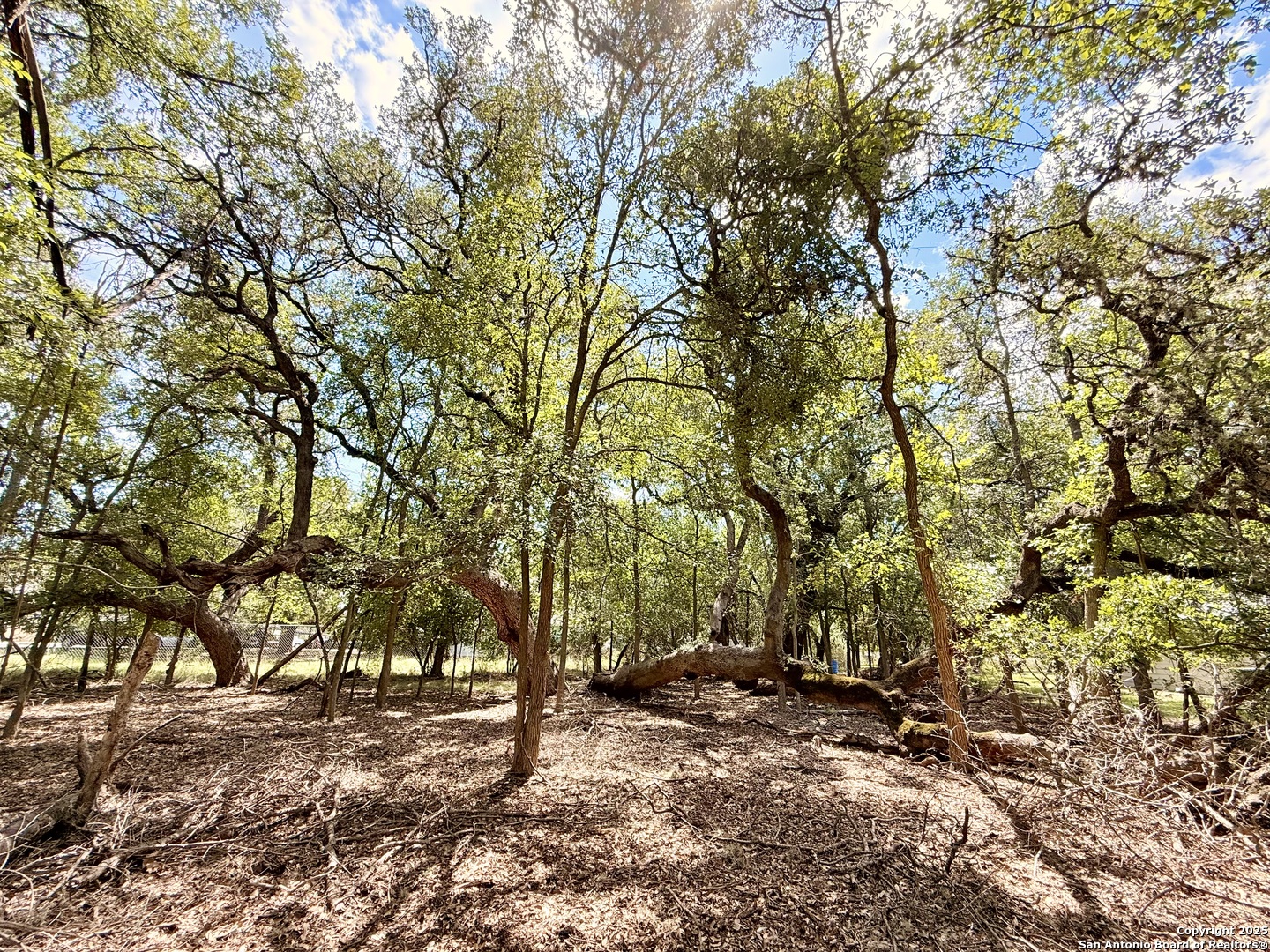 LOT 12 White Tail Ln