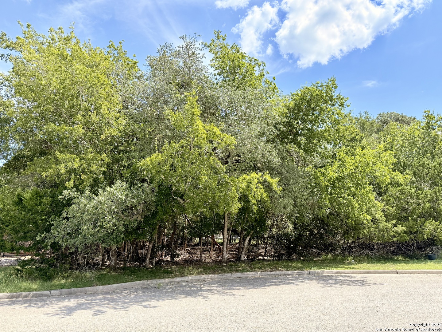 LOT 12 White Tail Ln
