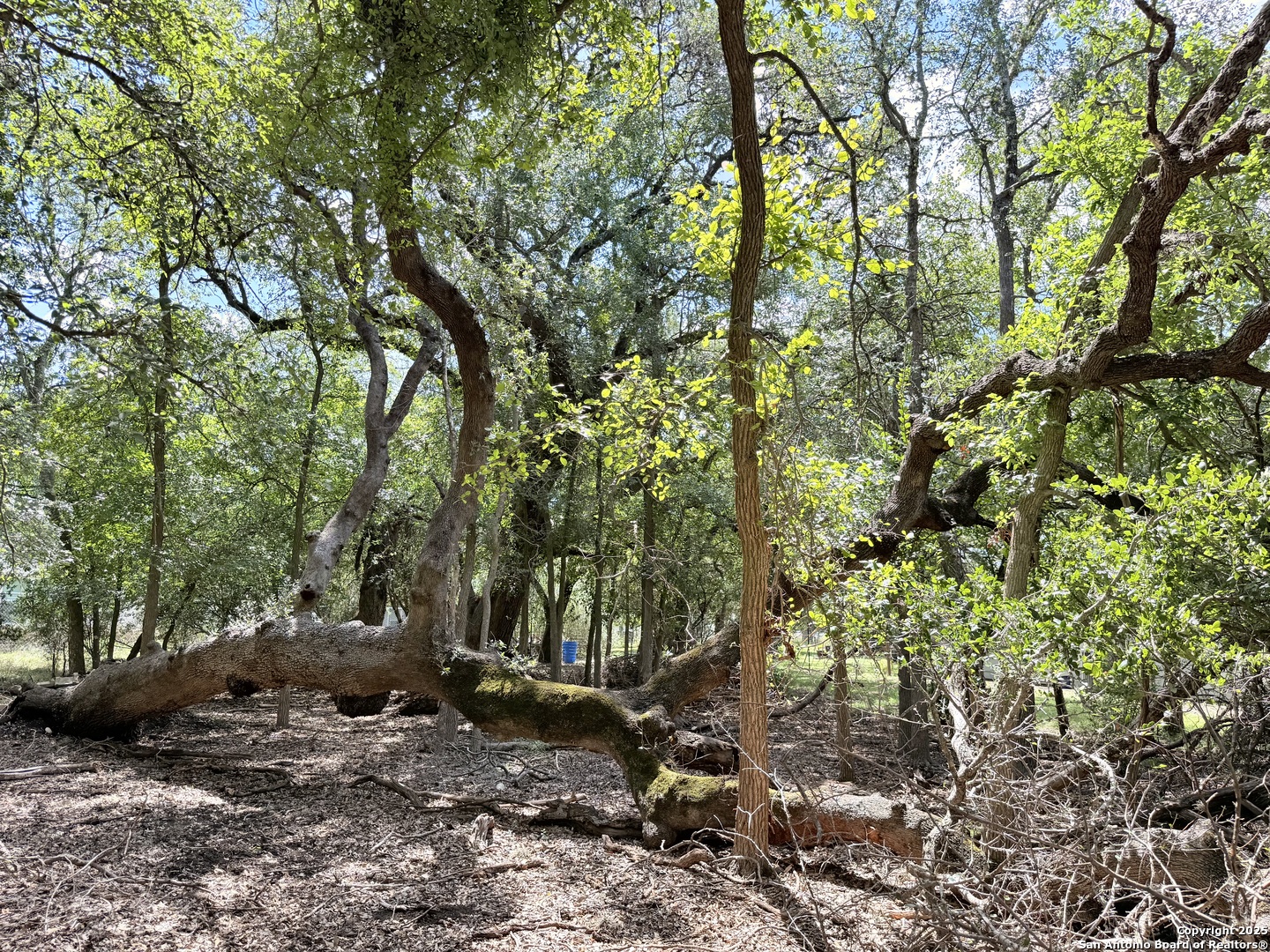 LOT 12 White Tail Ln