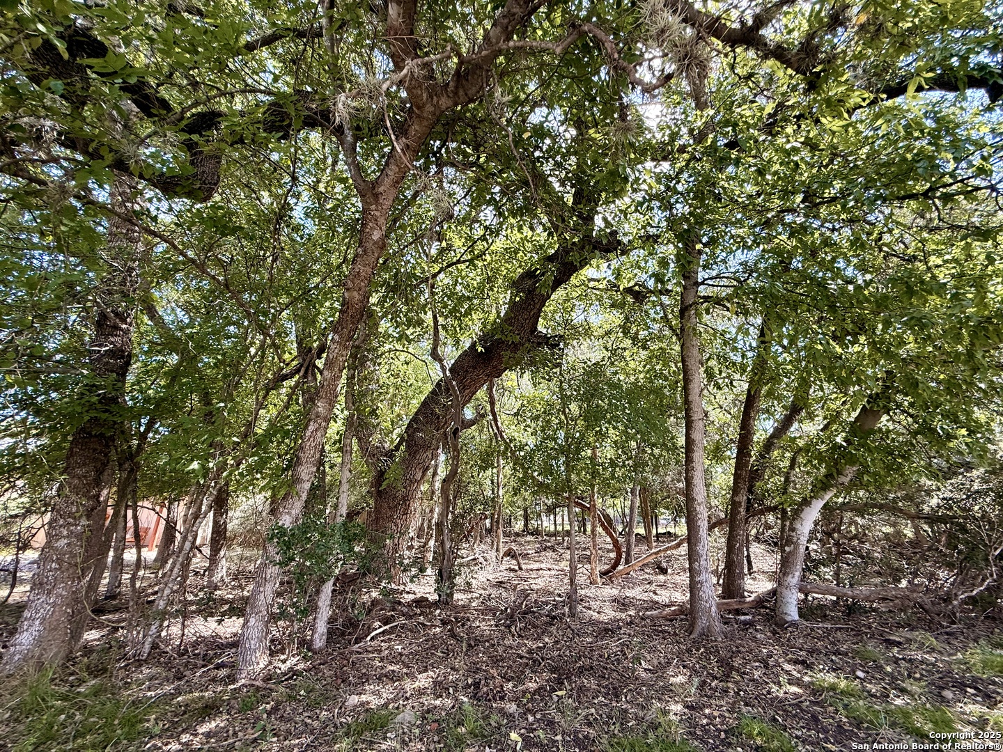 LOT 12 White Tail Ln