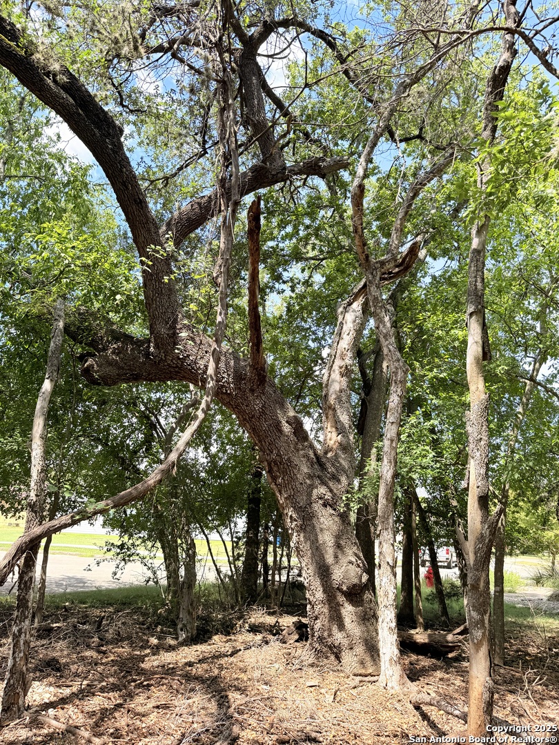 LOT 12 White Tail Ln