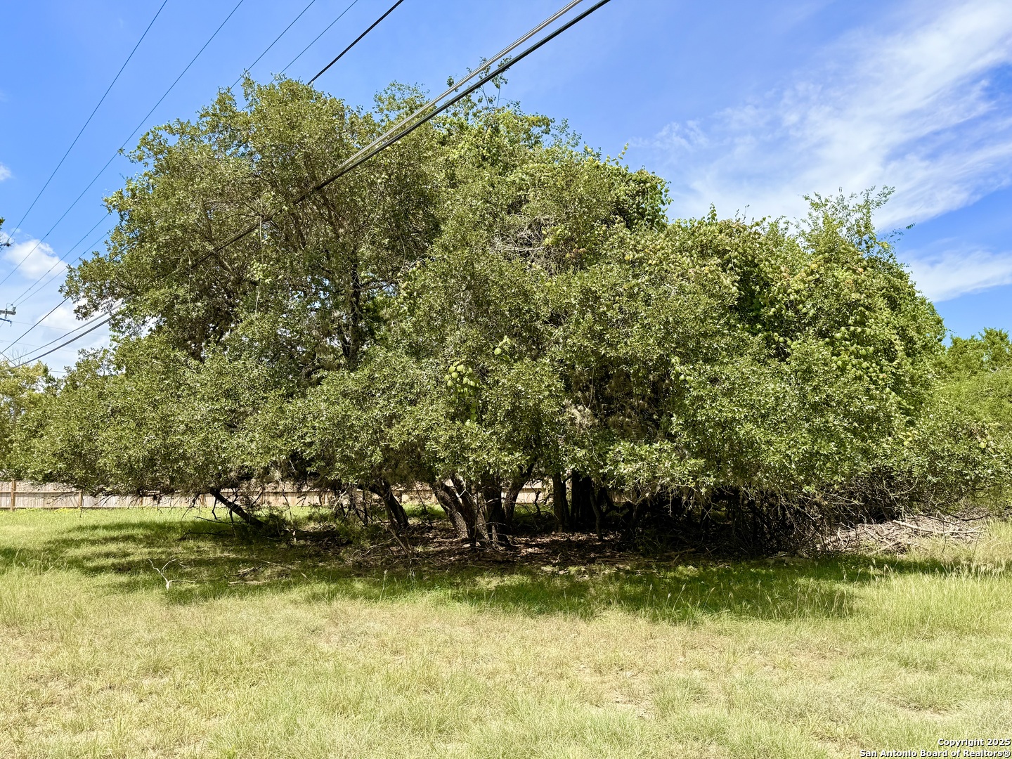 LOT 14 White Tail Ln