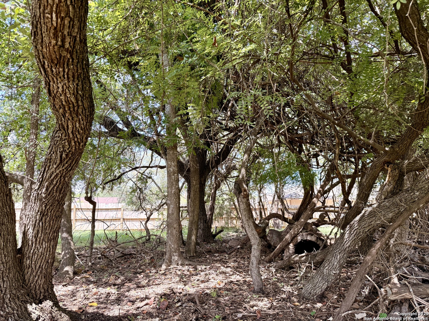 LOT 14 White Tail Ln