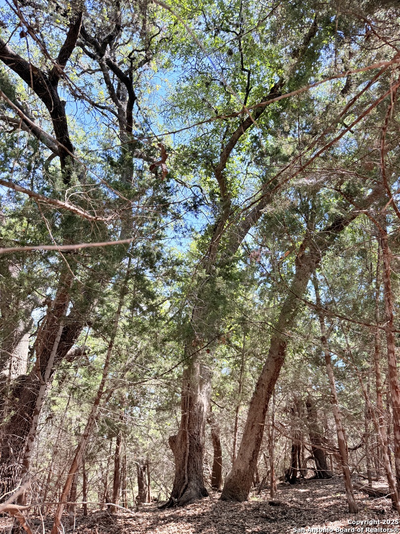 LOT 3 Nakomis Dr