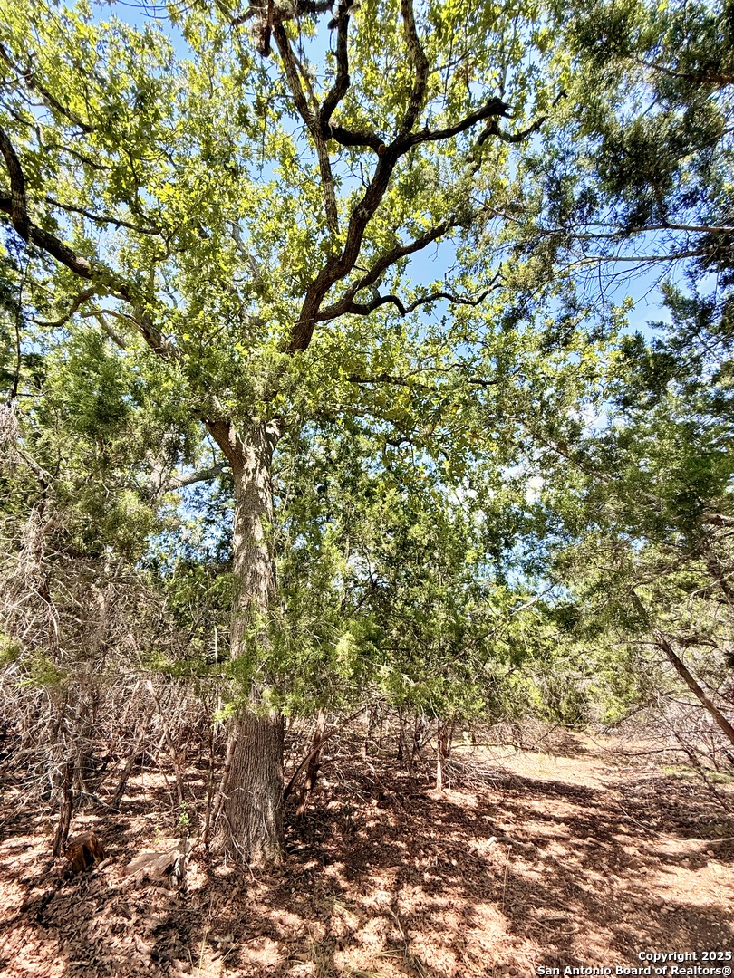 LOT 3 Nakomis Dr