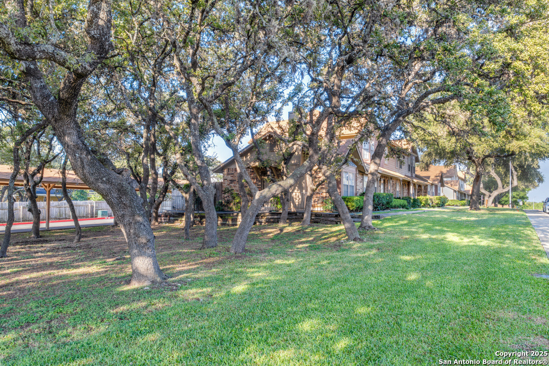 10254 Dover Ridge 204