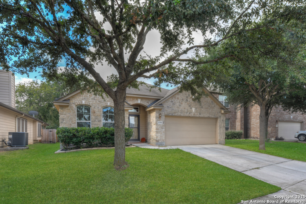 11750 Autumndale