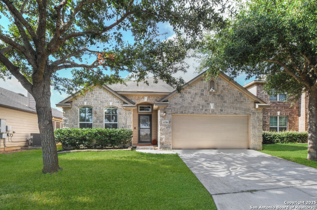 11750 Autumndale