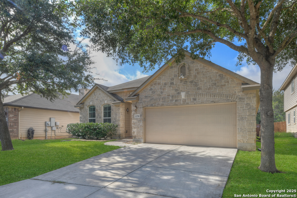 11750 Autumndale