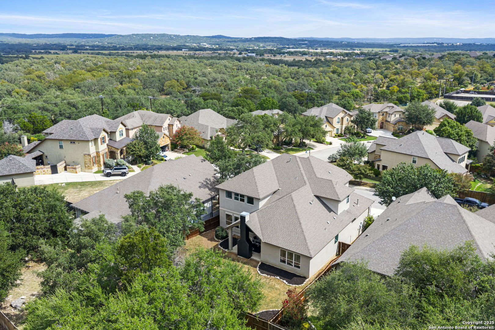 29051 Hobblebush