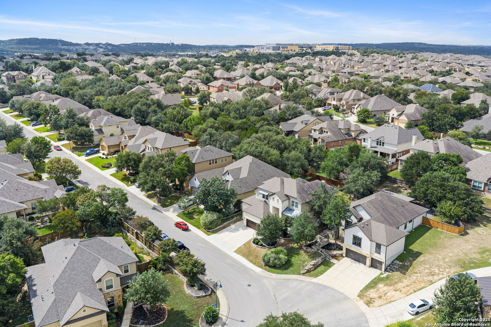 29051 Hobblebush