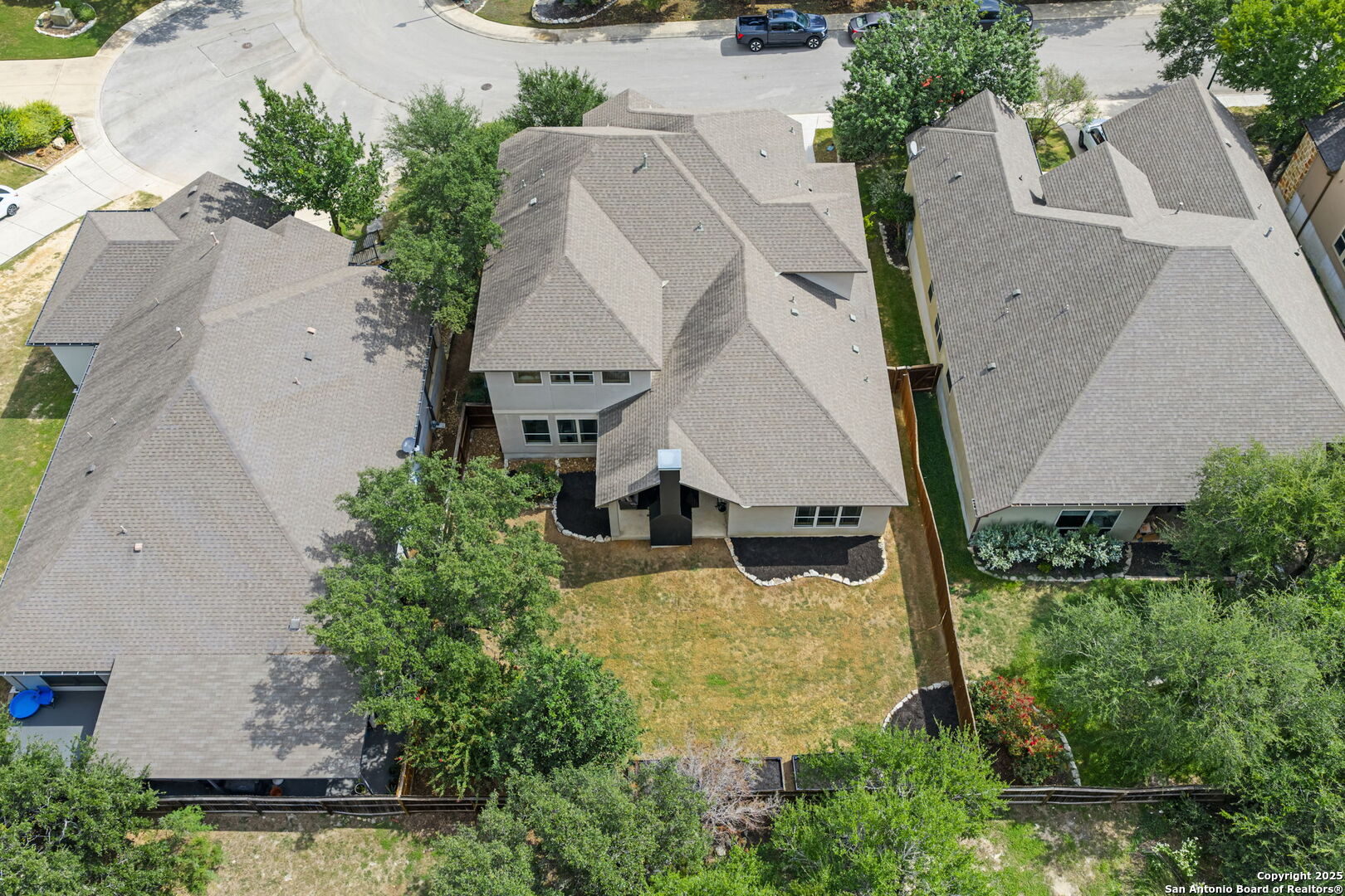 29051 Hobblebush