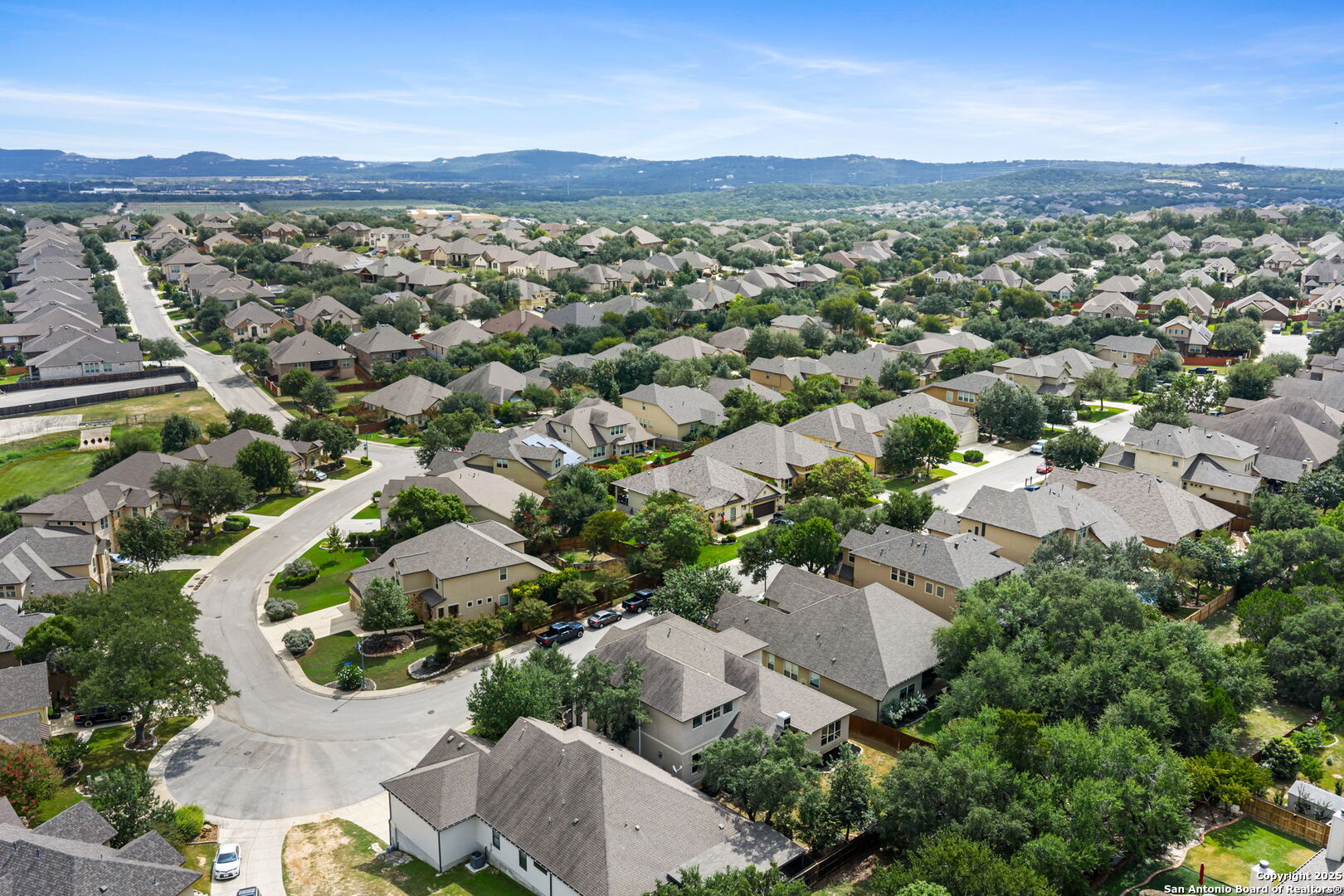 29051 Hobblebush