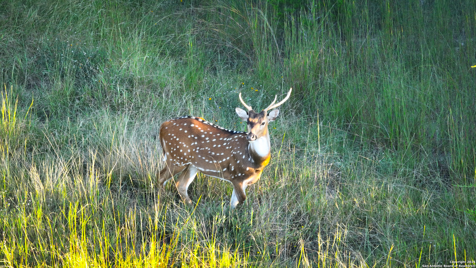 FAR HILLS RANCH Tract 4
