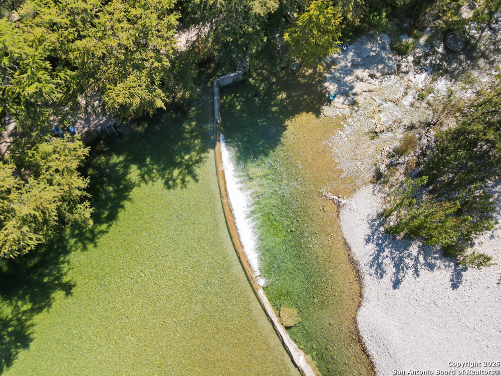 867 River Tree