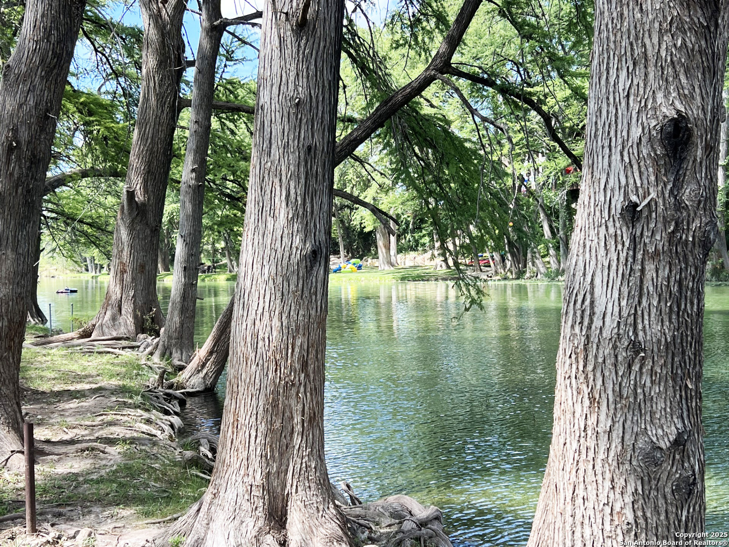867 River Tree