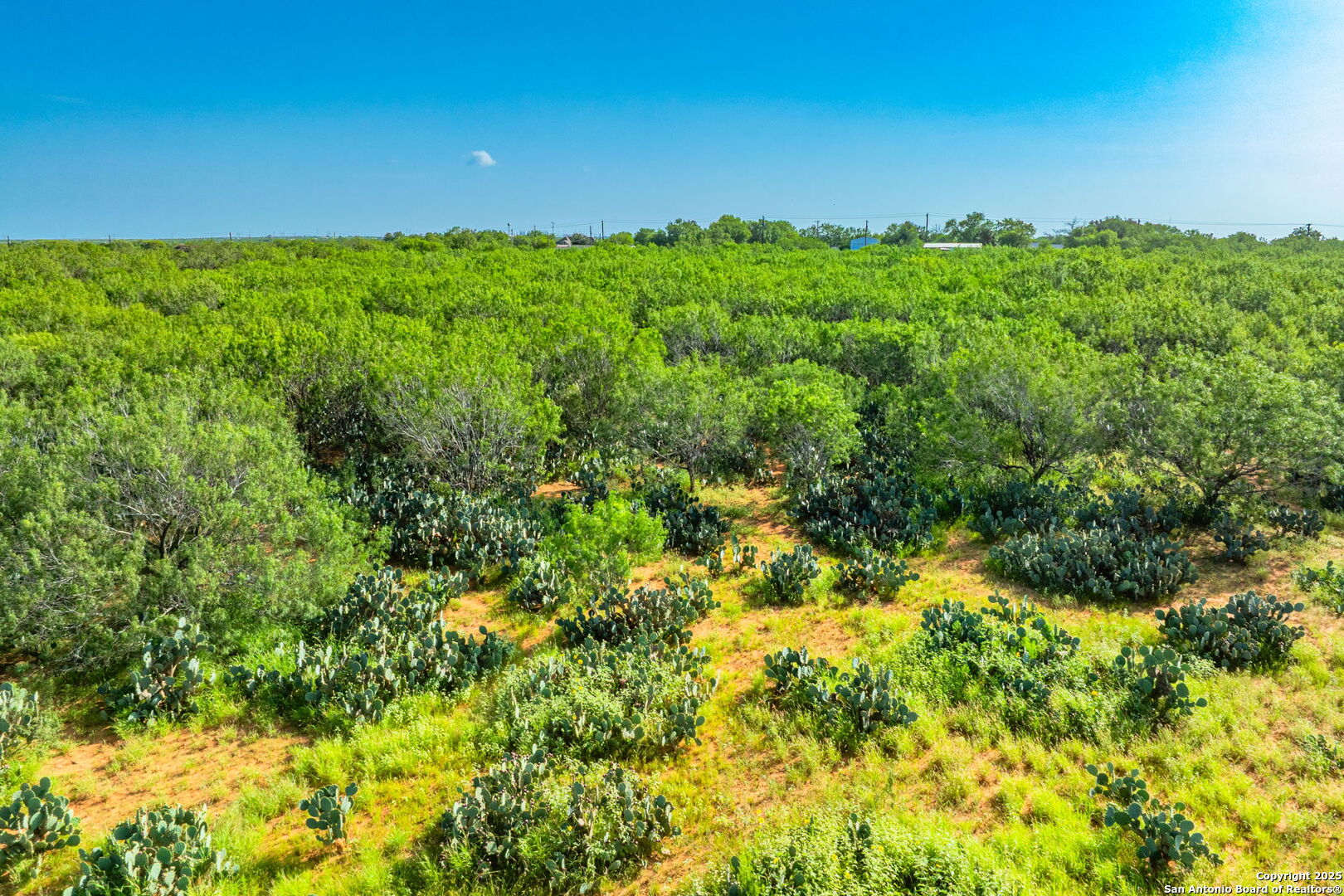 3911 County Road 1000