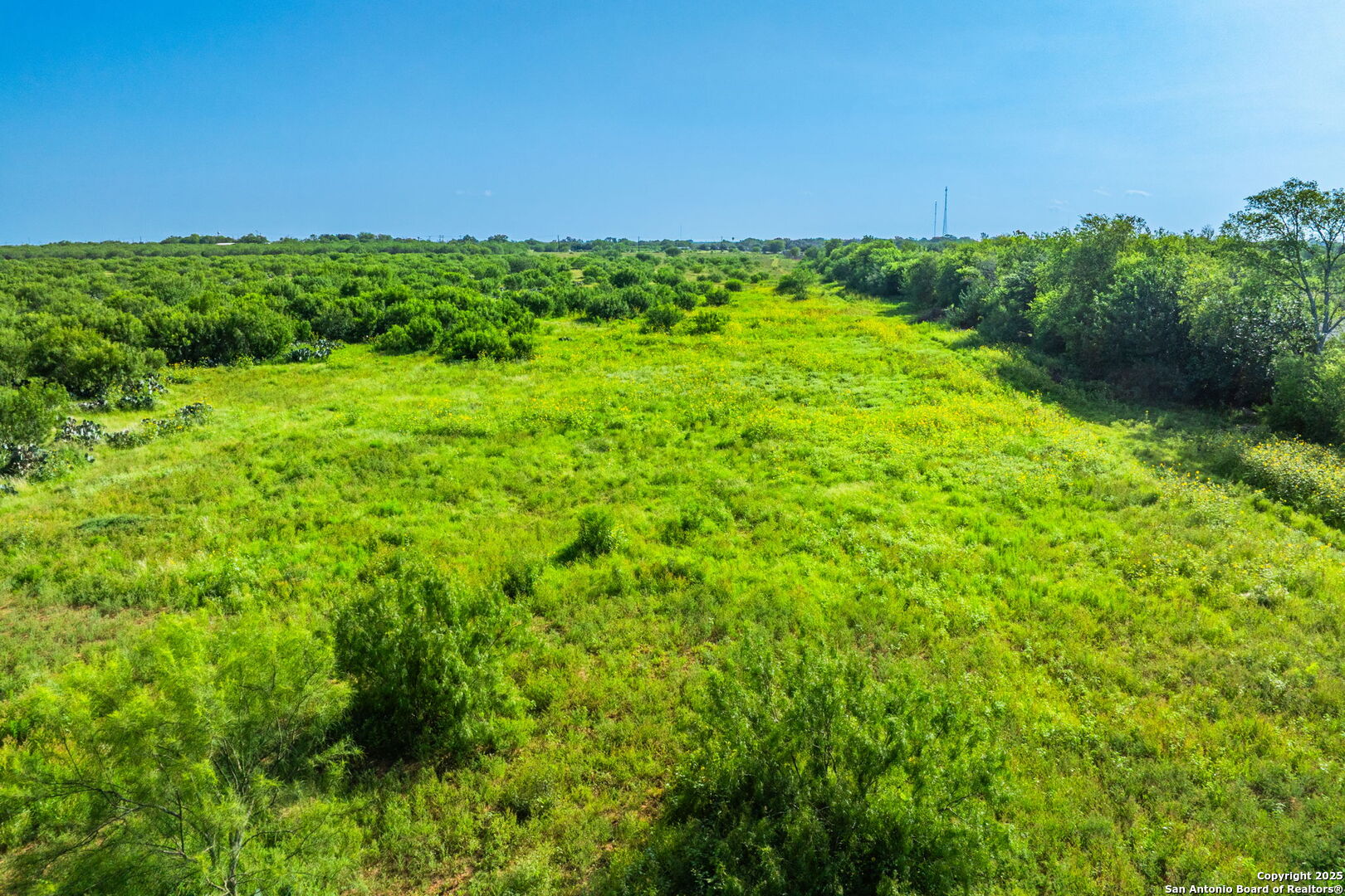 3911 County Road 1000