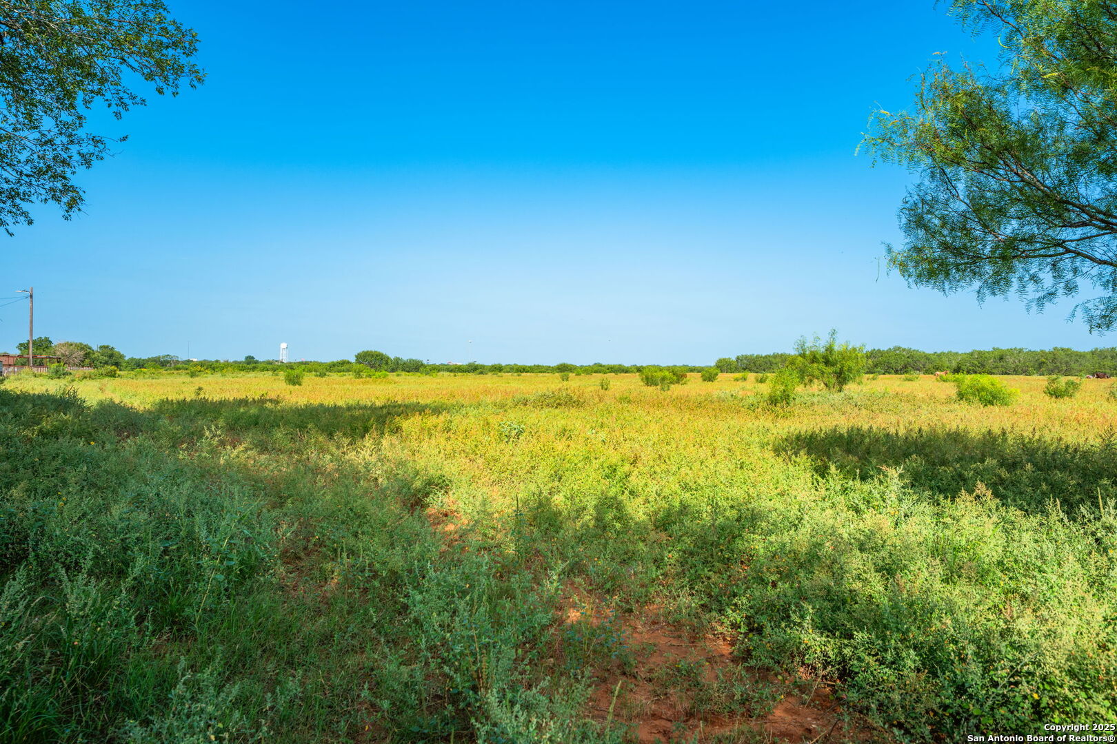 3911 County Road 1000