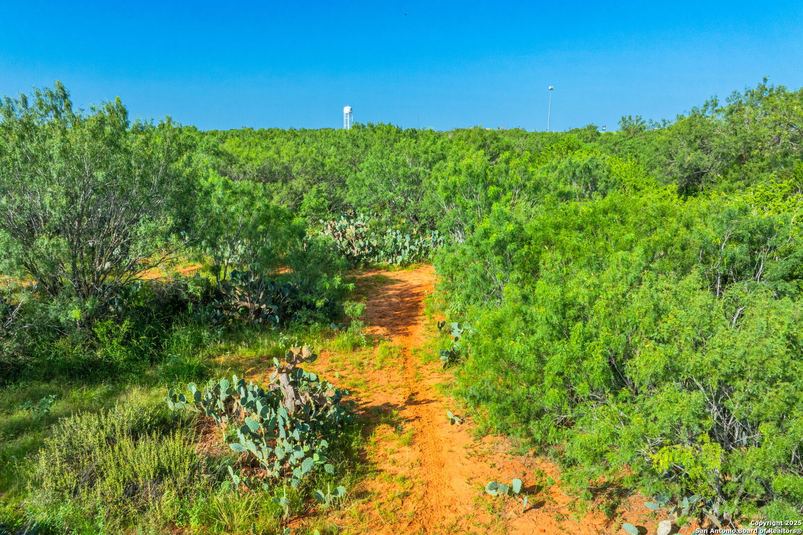 3911 County Road 1000