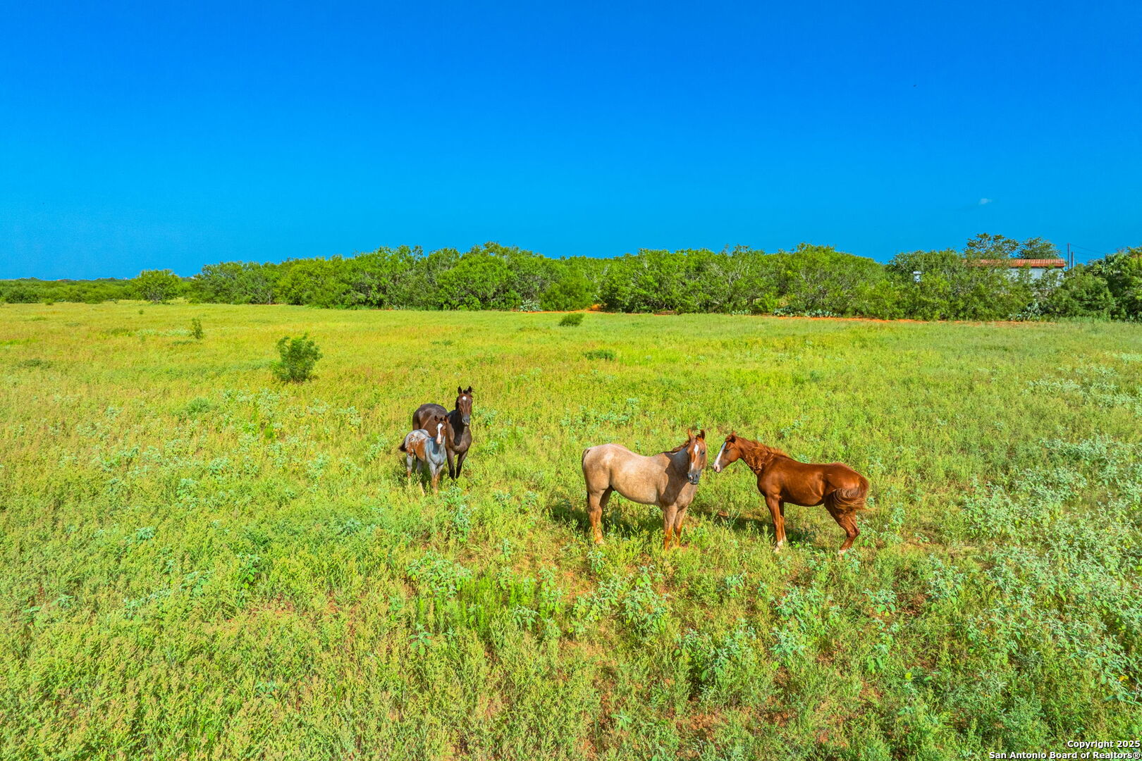 3911 County Road 1000