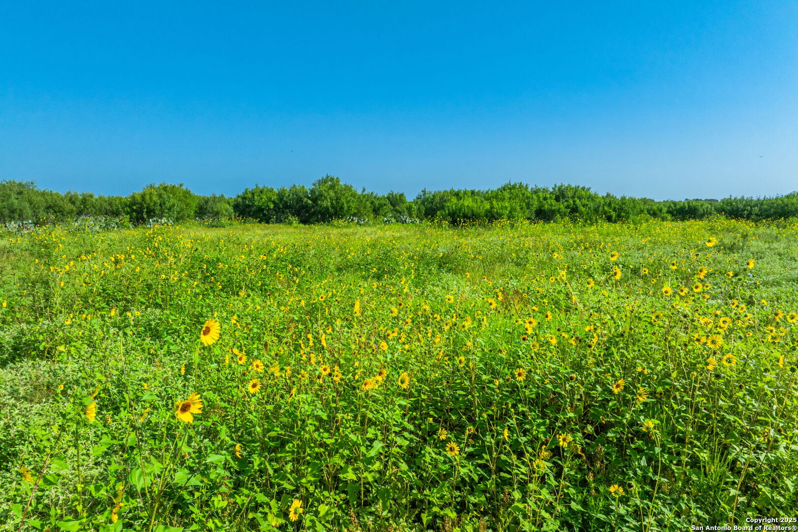 3911 County Road 1000