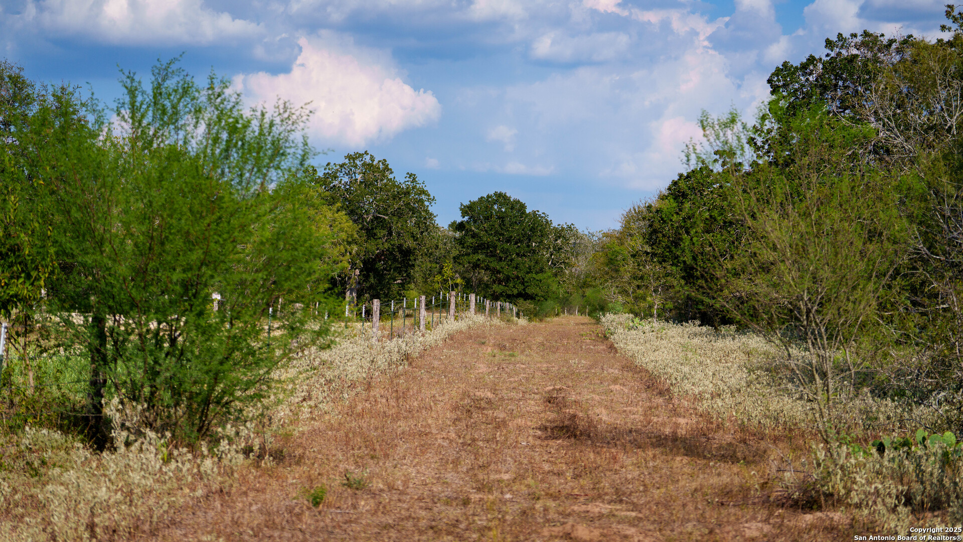 916 County Road 421