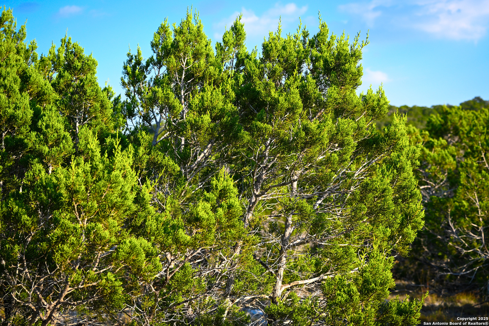 417 Sparkling Springs