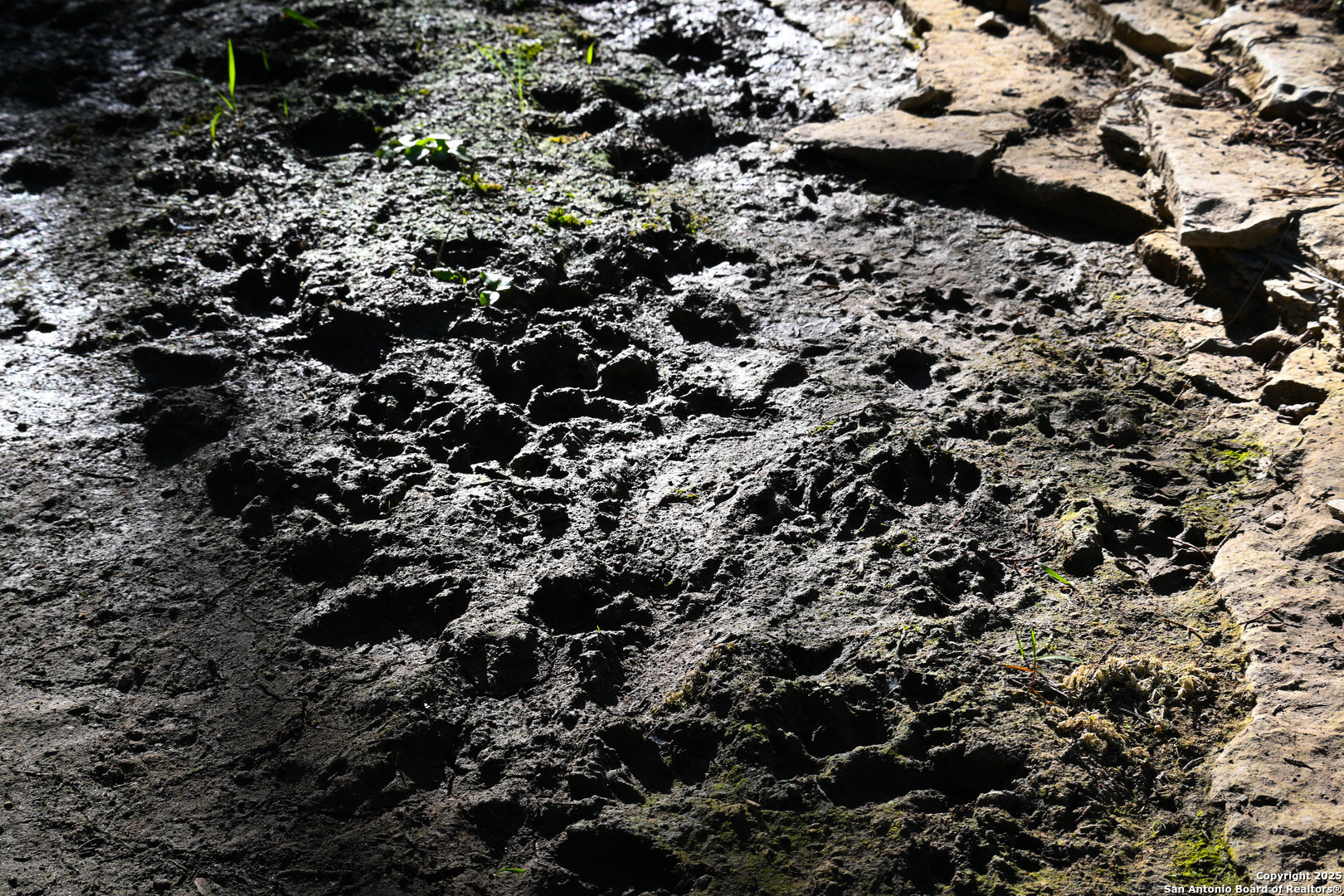 417 Sparkling Springs