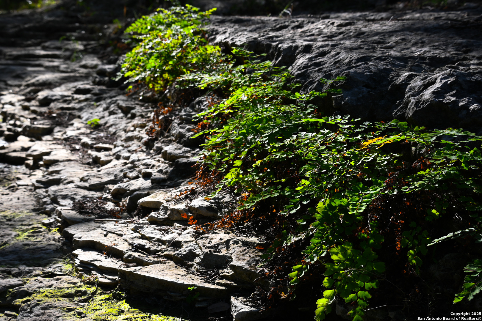 417 Sparkling Springs