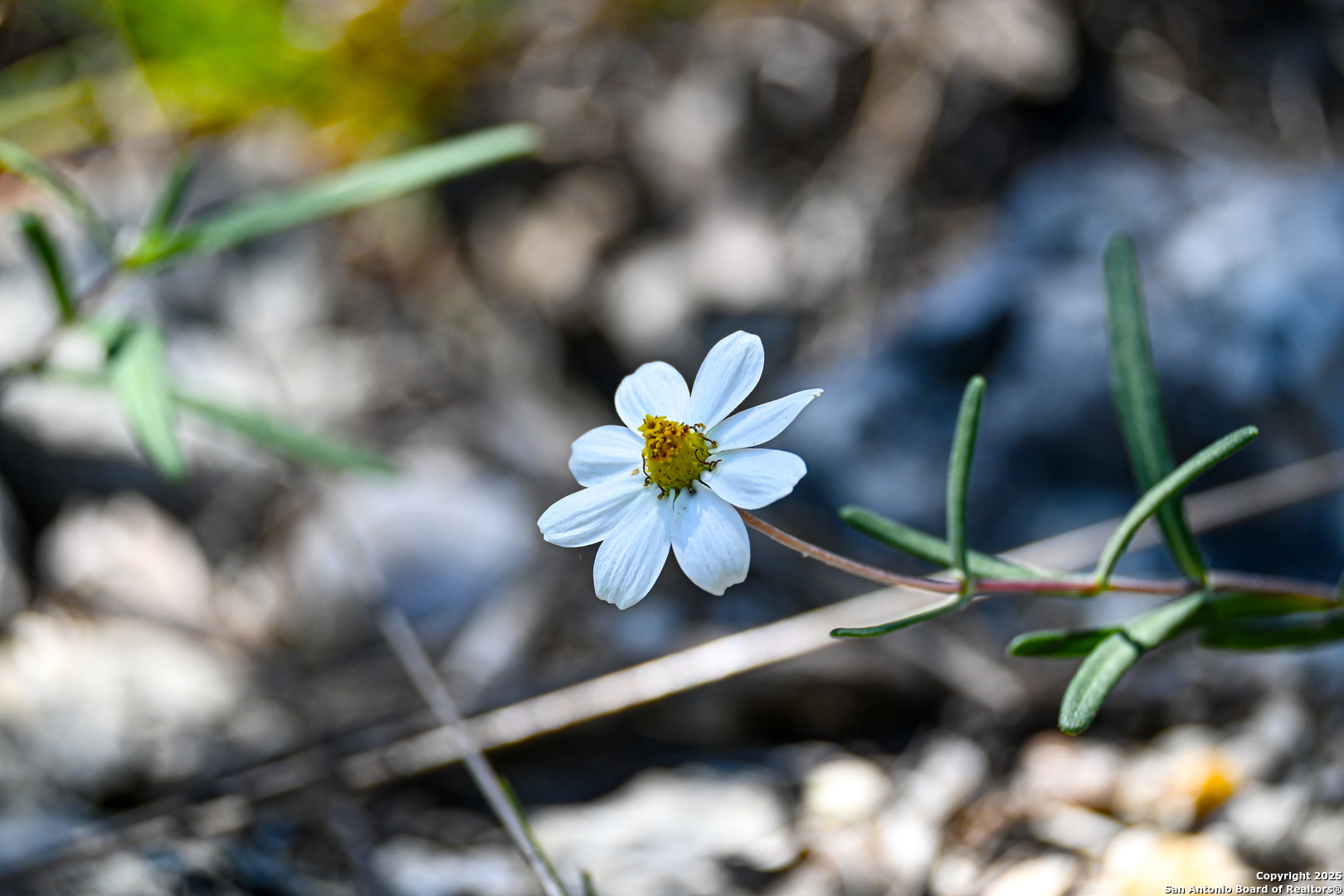 417 Sparkling Springs