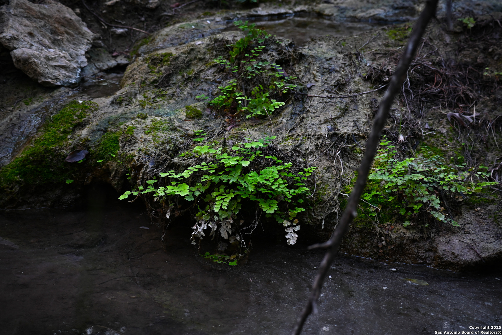 417 Sparkling Springs