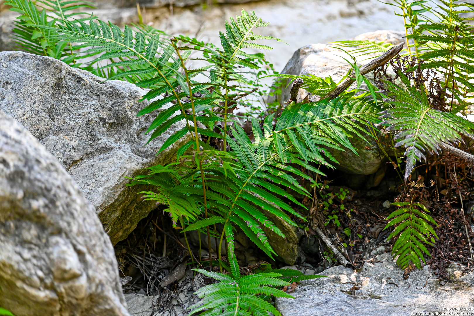 417 Sparkling Springs